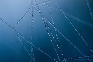 IA et Web3